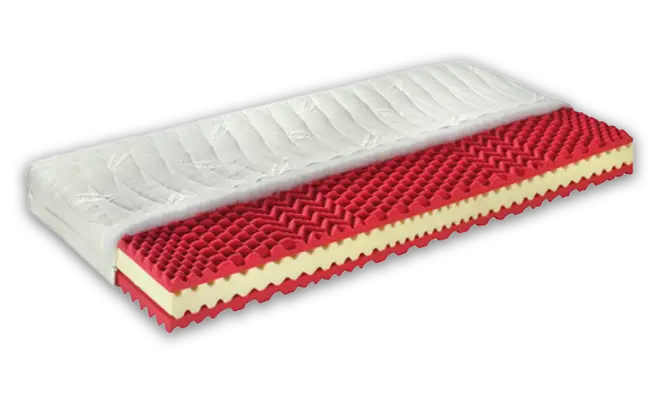 Elastica Bodycare